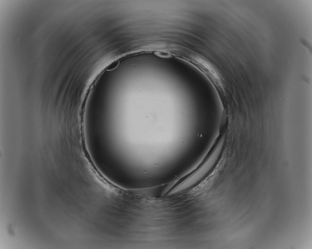 X0000098130808200804241648