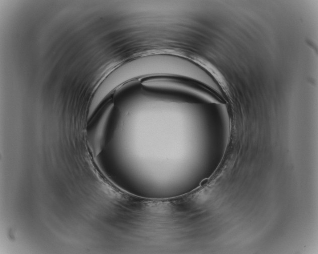 X0000098130809200804241648