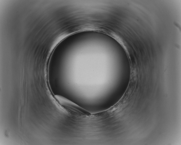 X0000098130811200804241648