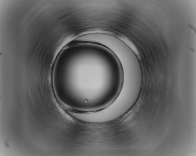 X0000098130813200804241648
