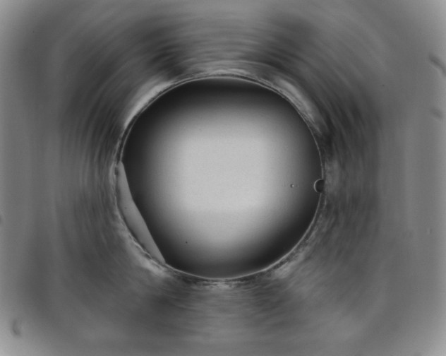 X0000098130814200804241648