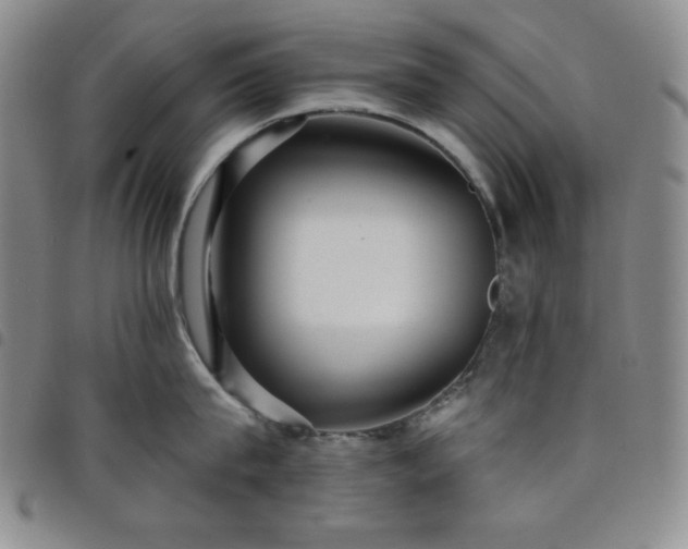 X0000098130815200804241648
