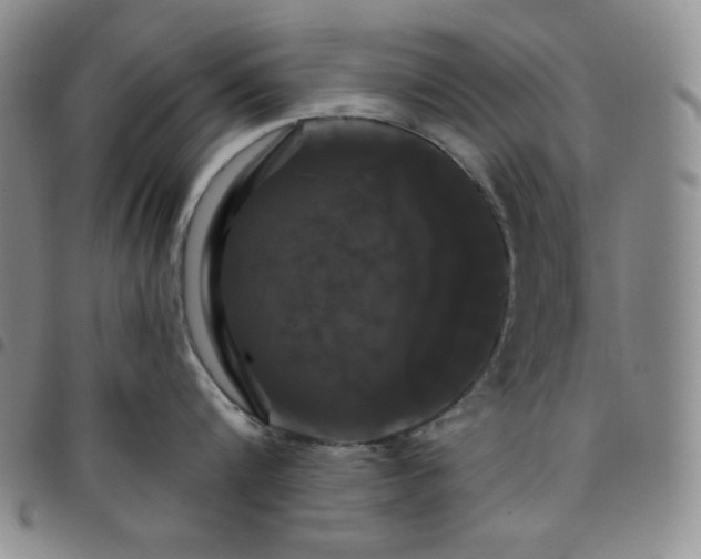 X0000098130816200804241648
