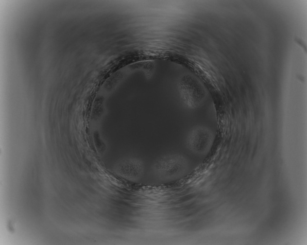 X0000098130817200804241647