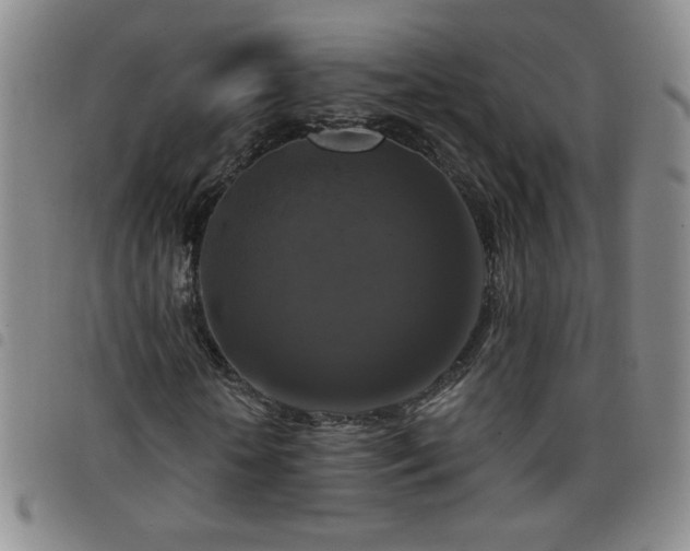 X0000098130818200804241647