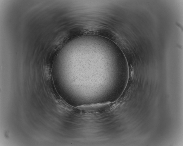 X0000098130819200804241647