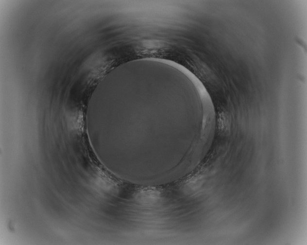X0000098130820200804241647