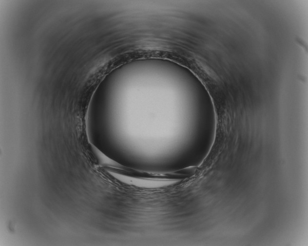X0000098130821200804241647