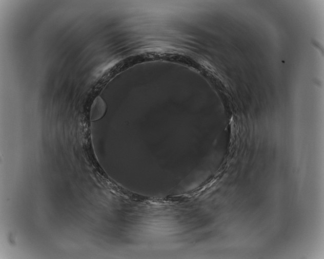 X0000098130822200804241647