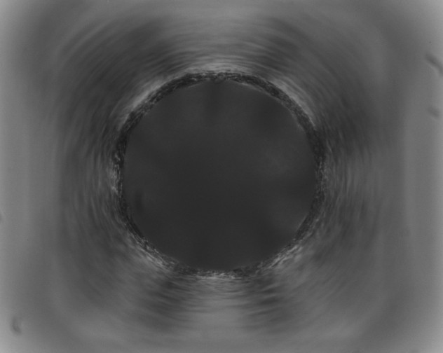 X0000098130823200804241647