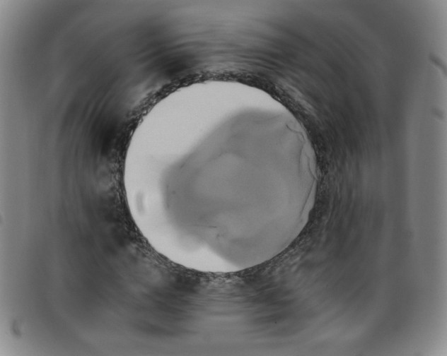 X0000098130824200804241647