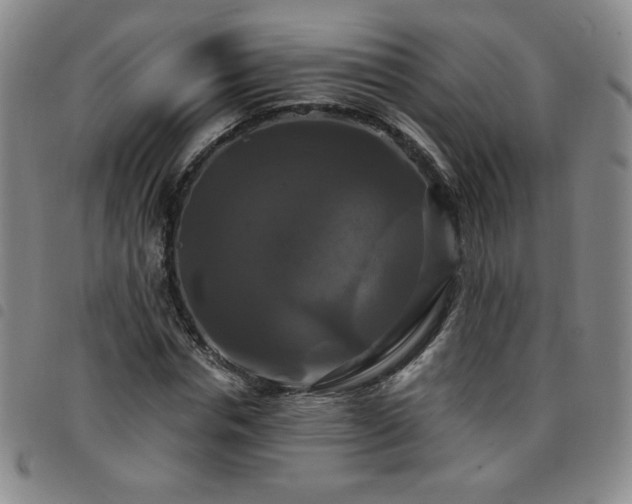 X0000098130826200804241647