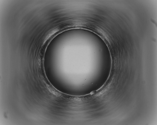 X0000098130827200804241647
