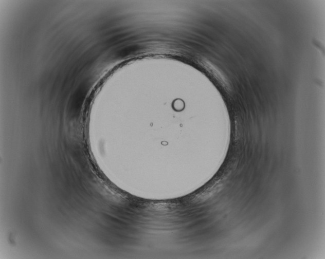 X0000098130828200804241647