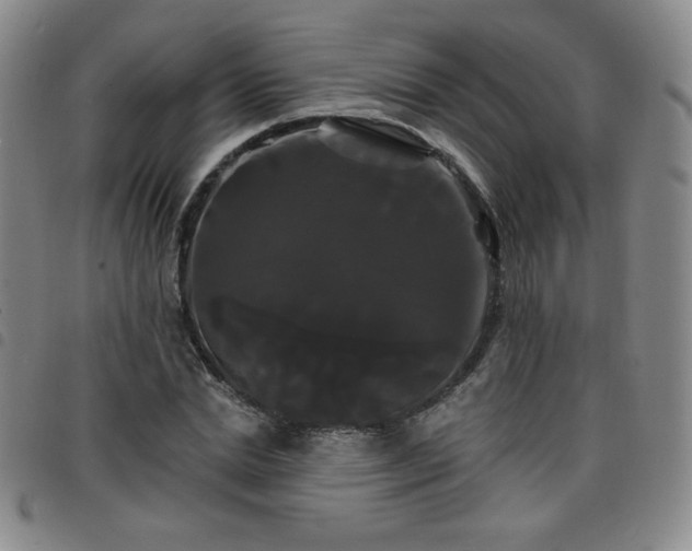 X0000098130830200804241647