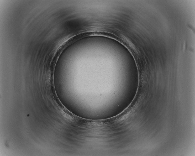 X0000098130831200804241647