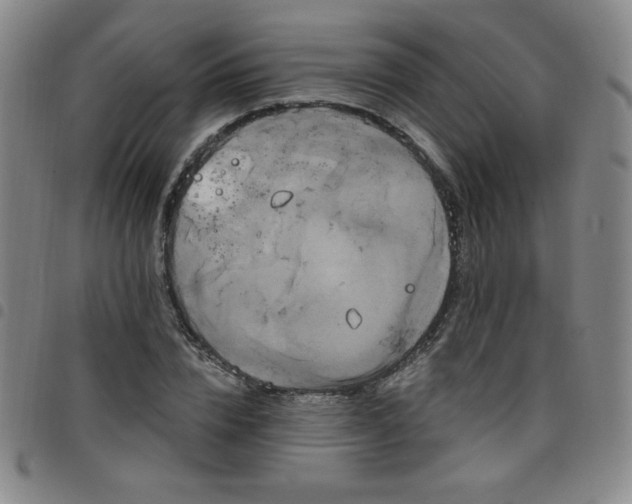 X0000098130832200804241647