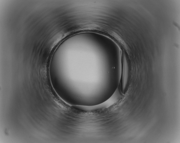 X0000098130834200804241647