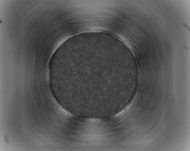 X0000098130835200804241647