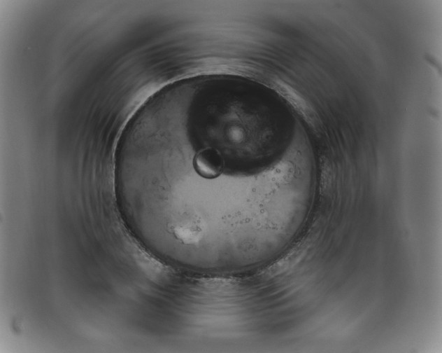 X0000098130836200804241647