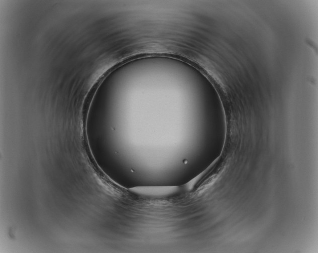 X0000098130837200804241647