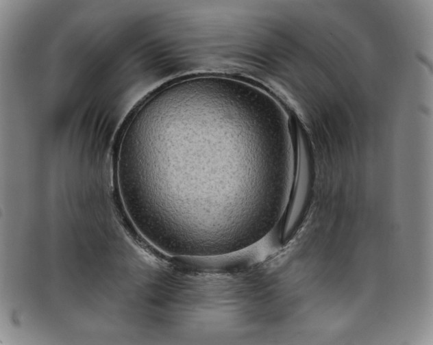 X0000098130838200804241647