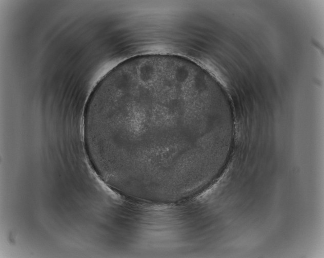 X0000098130839200804241647