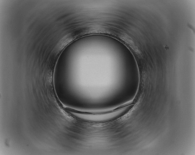 X0000098130841200804241648