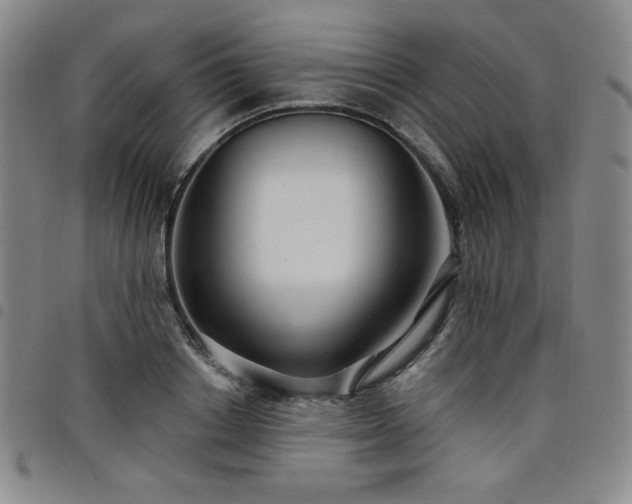 X0000098130842200804241648