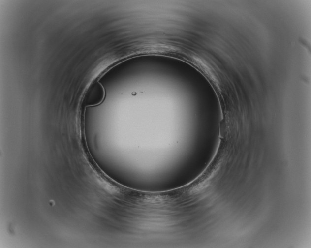 X0000098130843200804241648