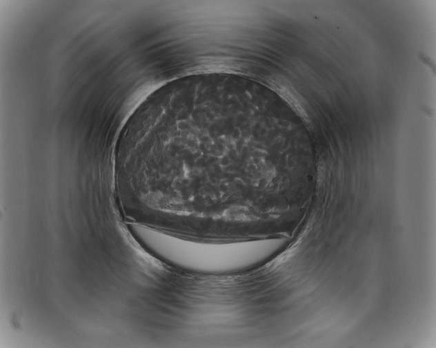 X0000098130844200804241648