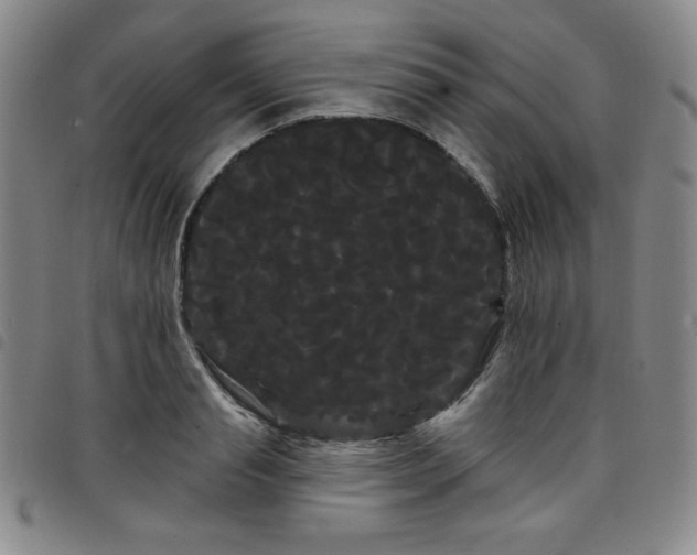 X0000098130845200804241648
