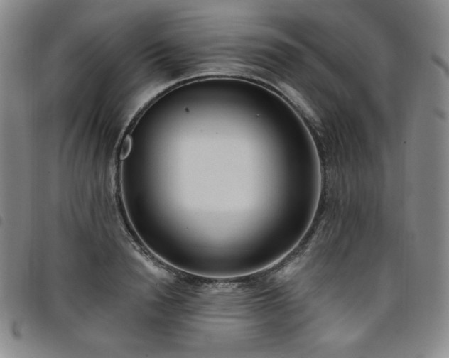 X0000098130846200804241648