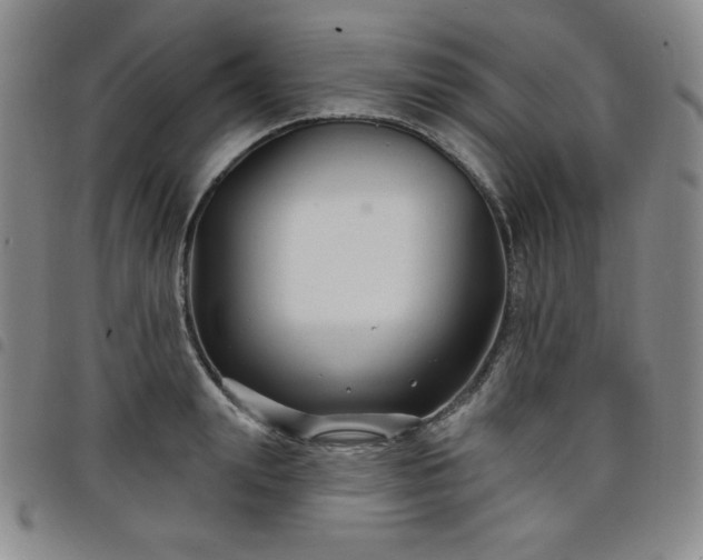 X0000098130847200804241648