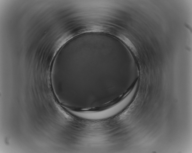X0000098130850200804241648