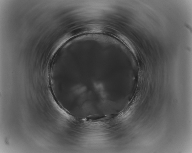 X0000098130851200804241648