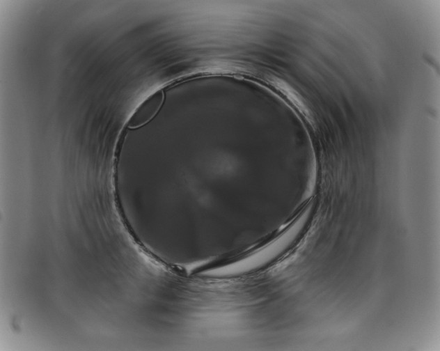 X0000098130853200804241648