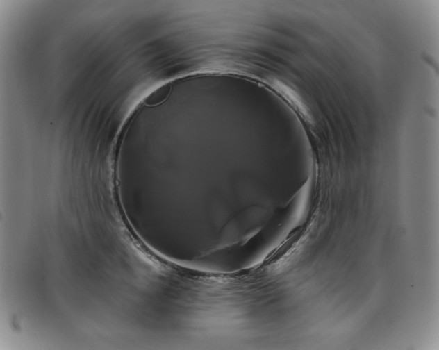 X0000098130854200804241648