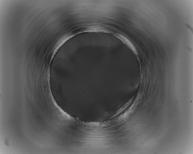 X0000098130855200804241648