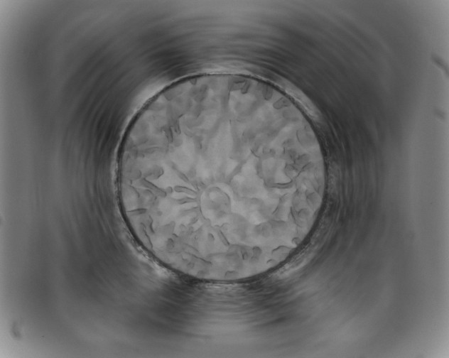 X0000098130856200804241648