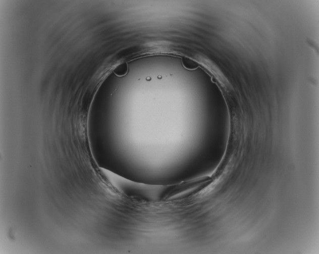 X0000098130857200804241648