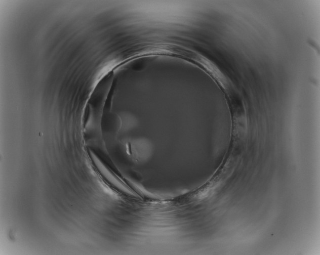 X0000098130858200804241648