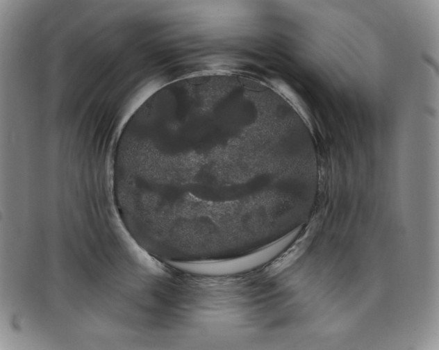 X0000098130859200804241648