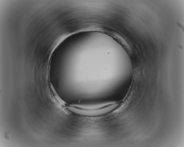 X0000098130860200804241648