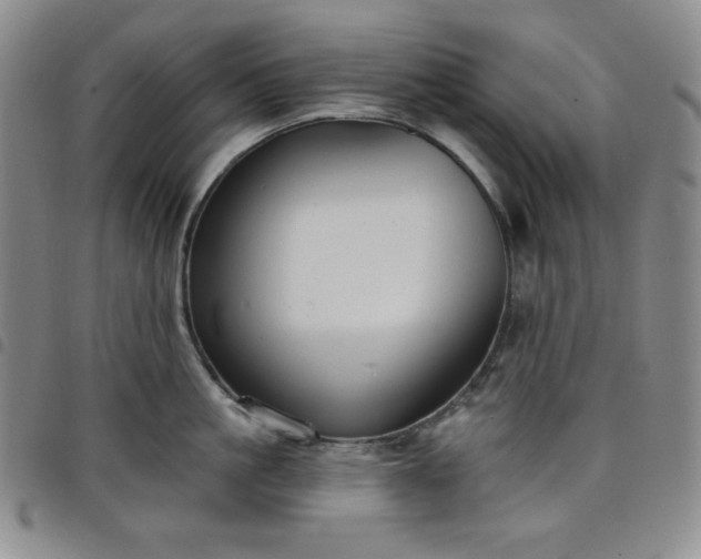 X0000098130861200804241648