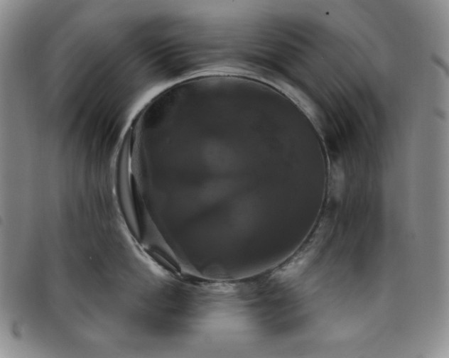 X0000098130862200804241648