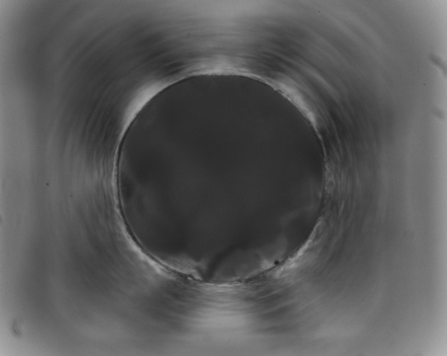 X0000098130863200804241648