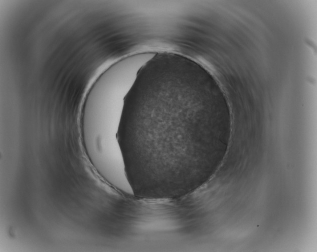 X0000098130864200804241648