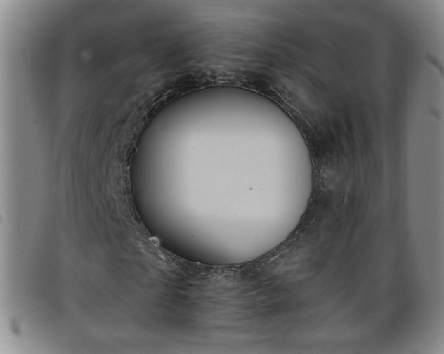 X0000098130865200804241647