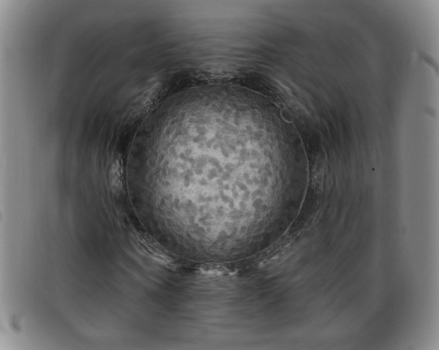 X0000098130866200804241647